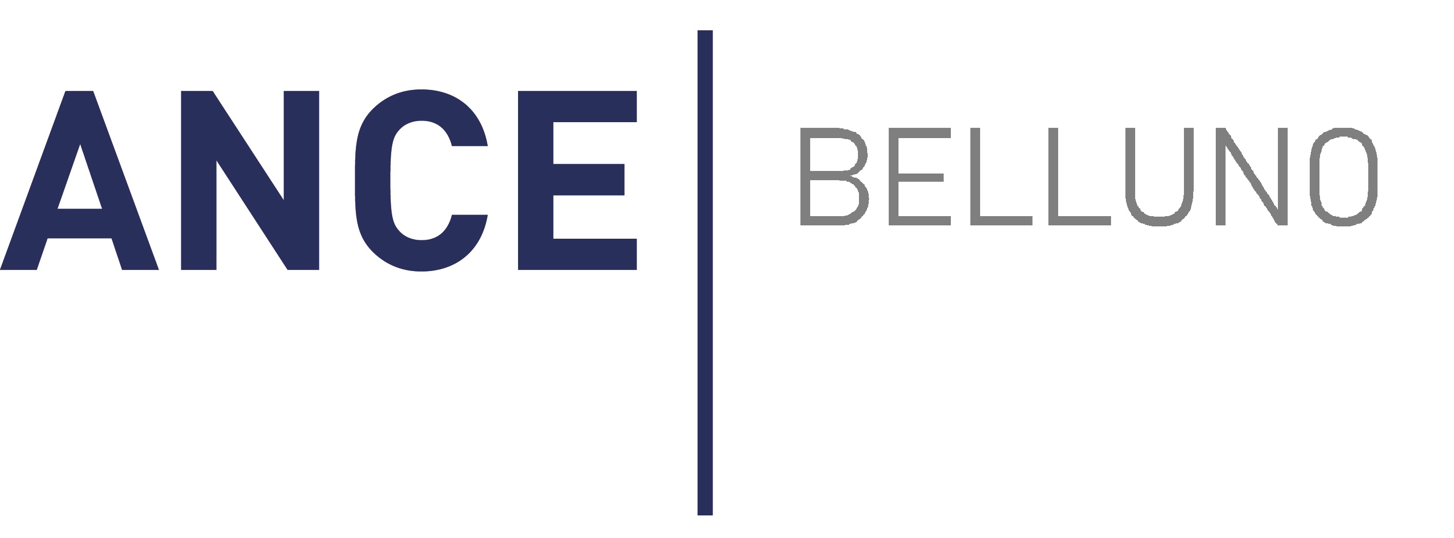 Logo SELFI